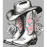 Country music-CU 461